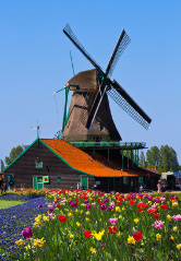 Niederlande Foto